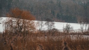 2015_02_02 1