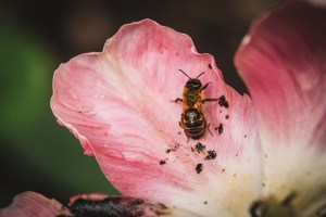 2015_05_05 1