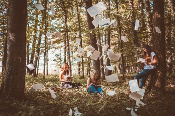 Mehrfachbelichtung klein.jpg